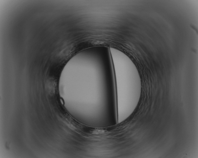 X0000093590227200710151024