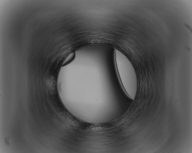 X0000093590228200710151024