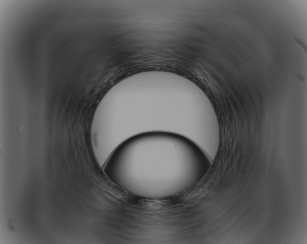 X0000093590229200710151024