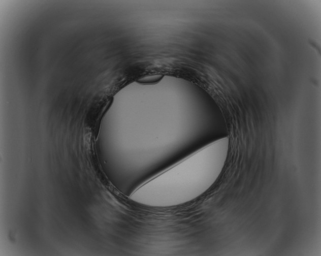 X0000093590231200710151024