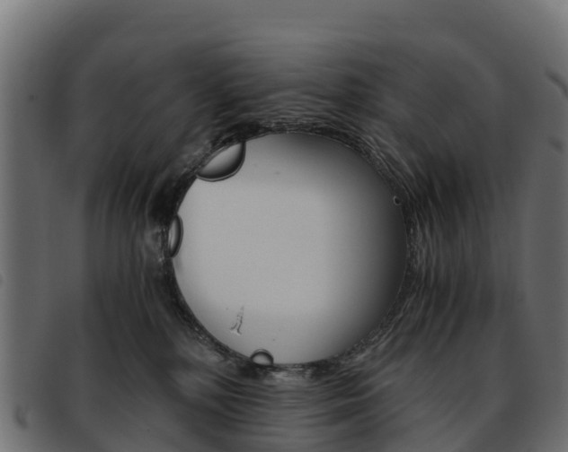 X0000093590232200710151024