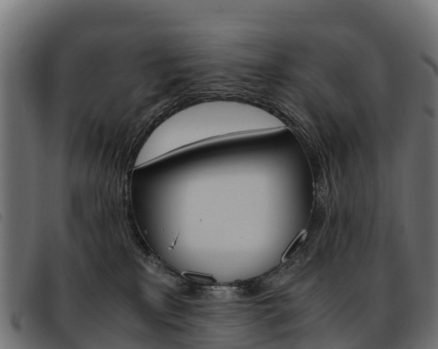 X0000093590233200710151024