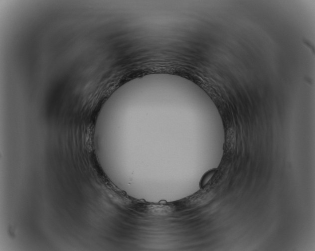 X0000093590234200710151024