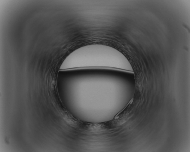 X0000093590235200710151024