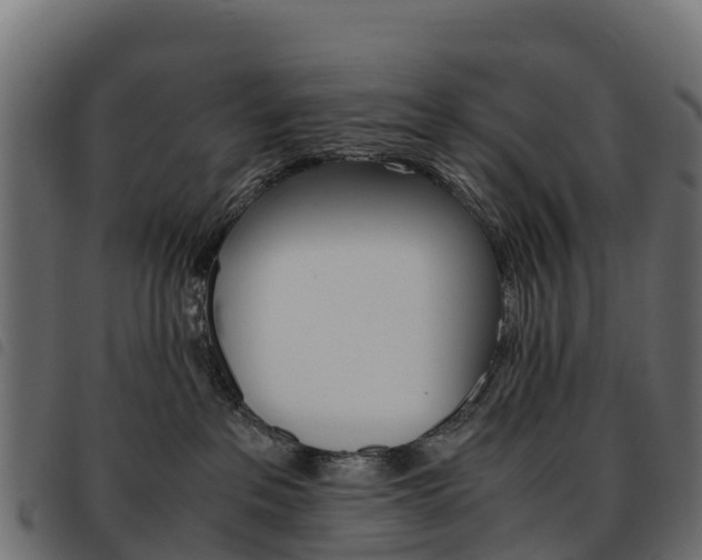 X0000093590237200710151024