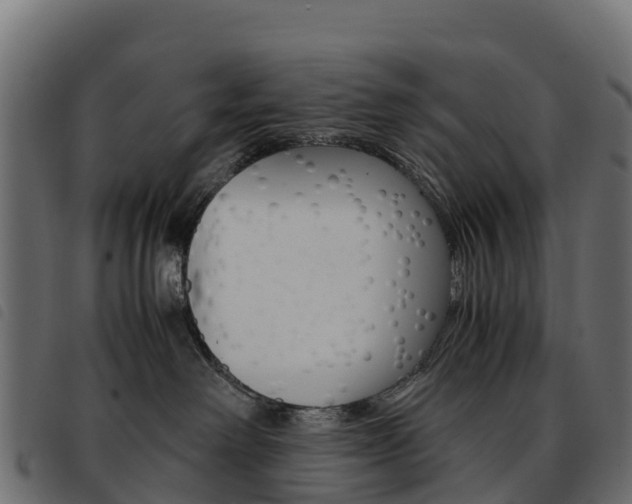X0000093590238200710151023