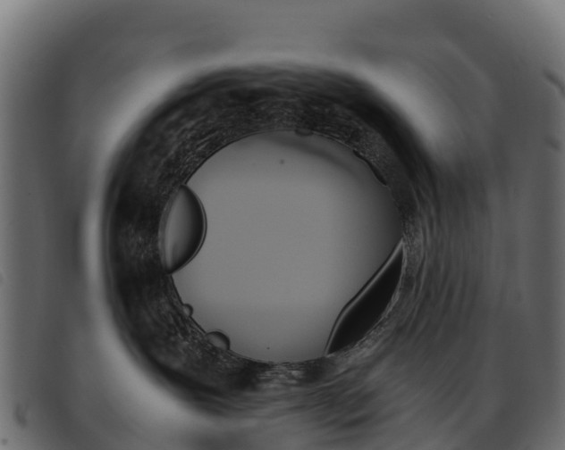 X0000093590239200710151023