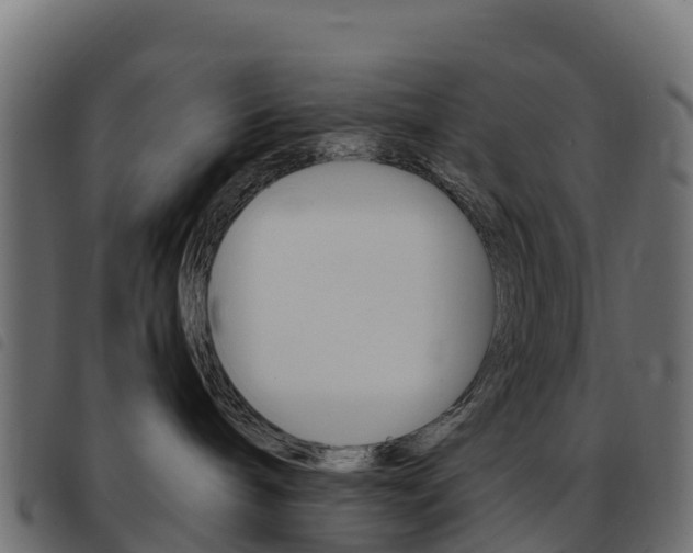 X0000093590240200710151023