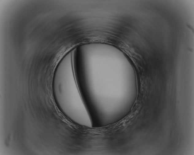 X0000093590241200710151023