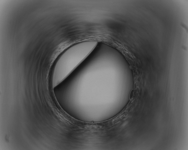 X0000093590242200710151023
