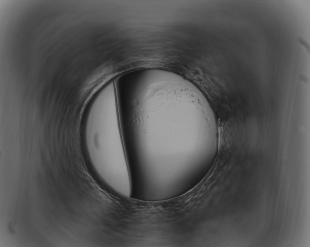 X0000093590243200710151023