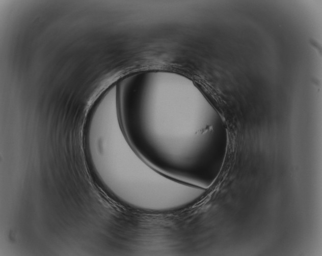 X0000093590244200710151023