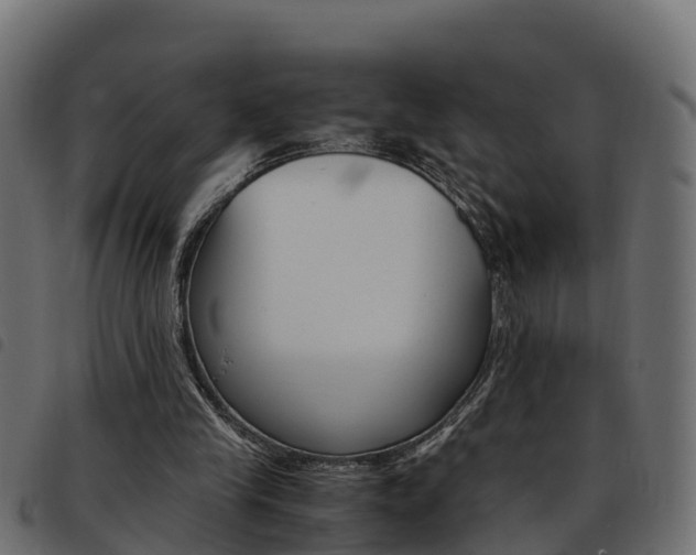 X0000093590245200710151023