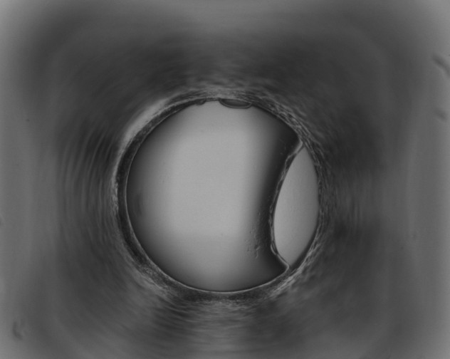 X0000093590246200710151023