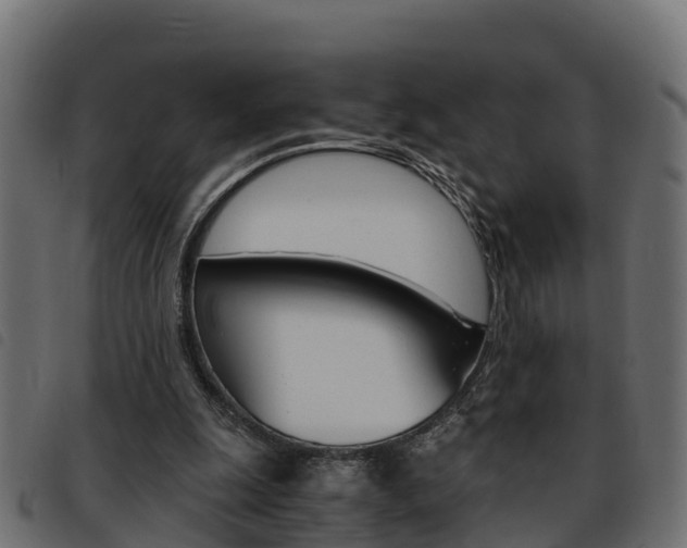 X0000093590247200710151023
