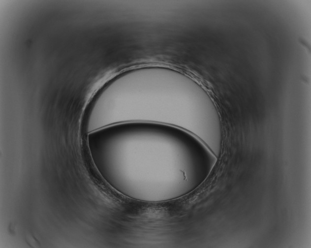 X0000093590248200710151023