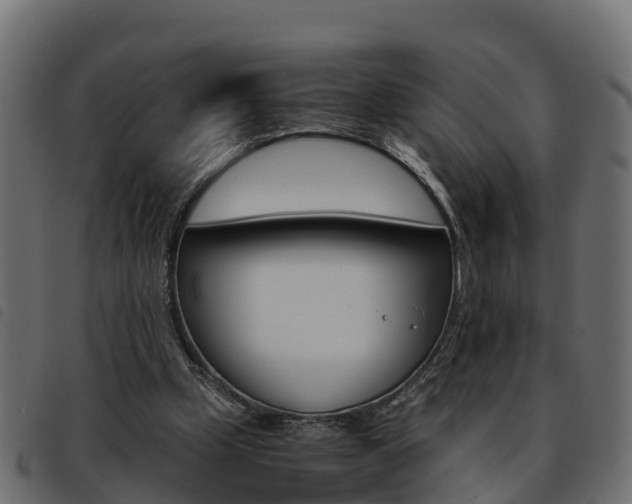 X0000093590249200710151023