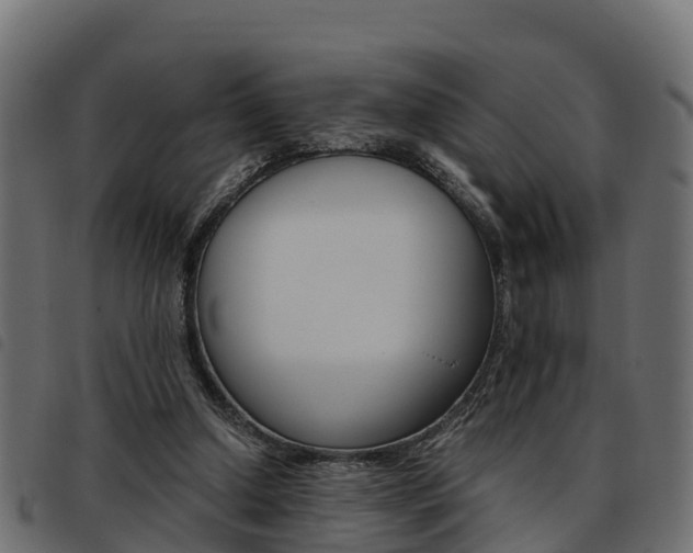 X0000093590250200710151023
