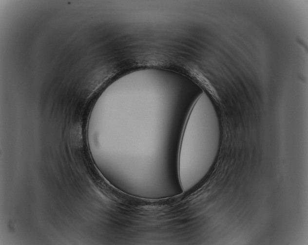 X0000093590251200710151023