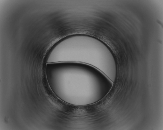 X0000093590252200710151023