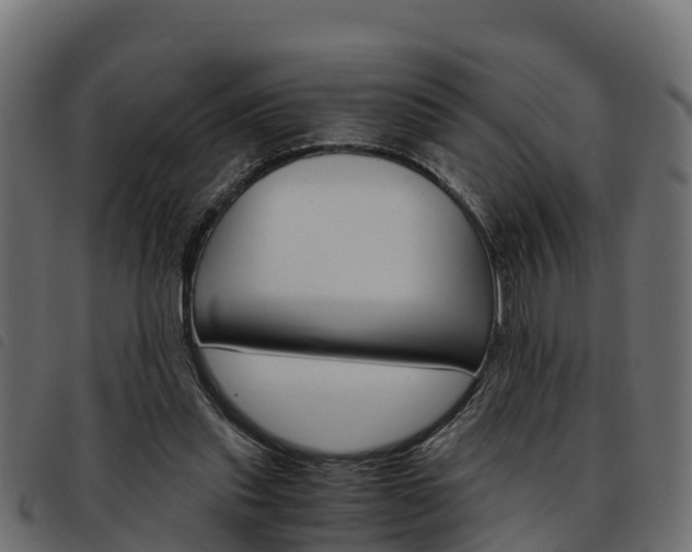 X0000093590253200710151023