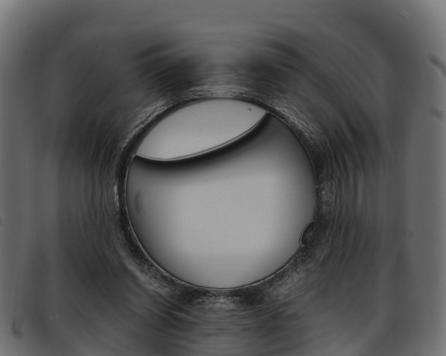 X0000093590254200710151023