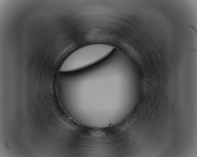 X0000093590258200710151023