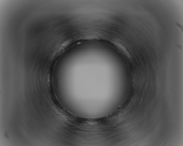 X0000093590260200710151023