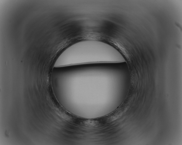 X0000093590261200710151023