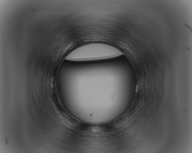 X0000093590264200710151023