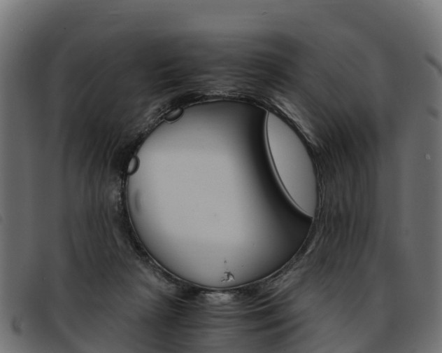 X0000093590265200710151023
