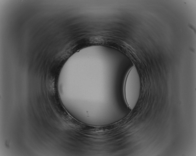 X0000093590267200710151023