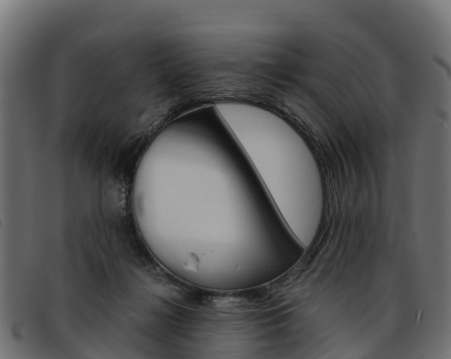 X0000093590268200710151023