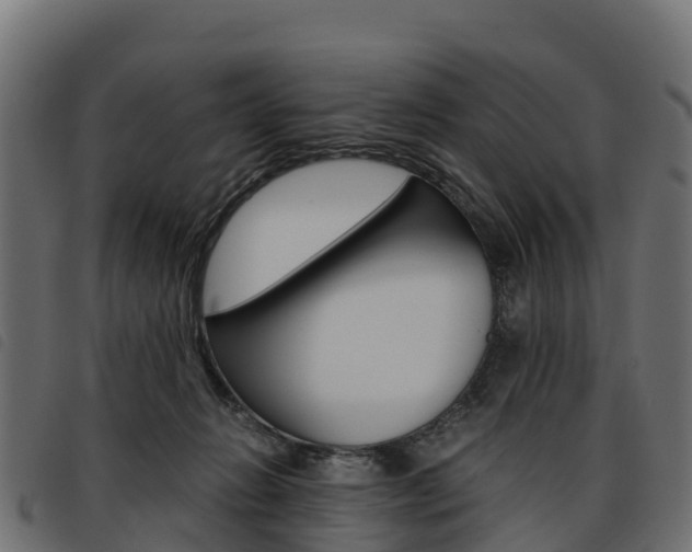 X0000093590270200710151023