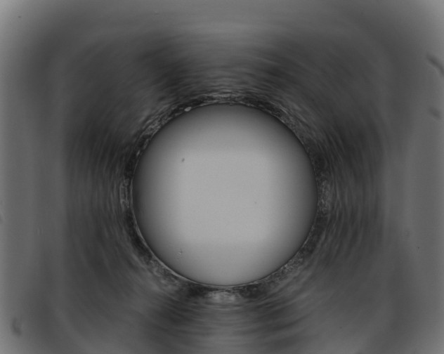 X0000093590272200710151023