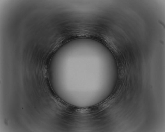 X0000093590273200710151023
