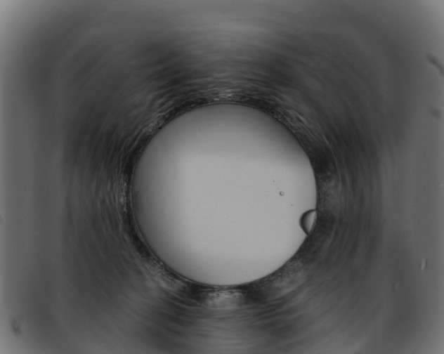X0000093590274200710151023