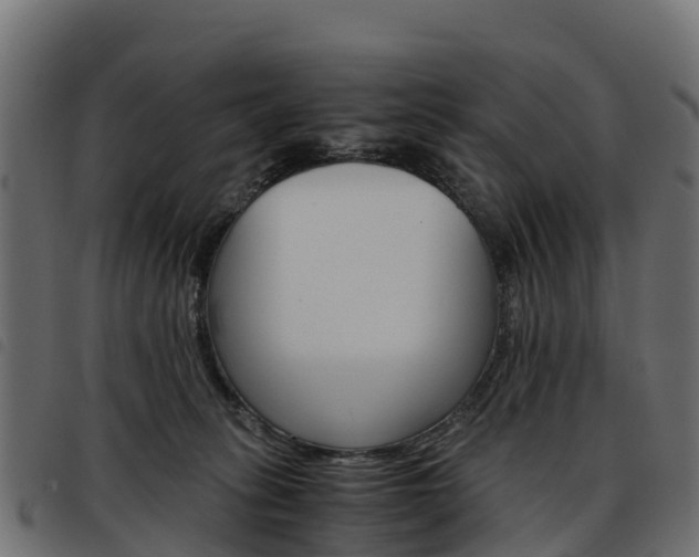 X0000093590275200710151023