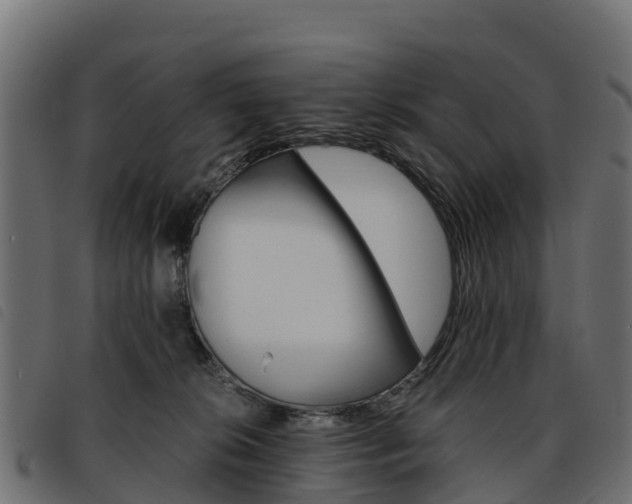 X0000093590276200710151023