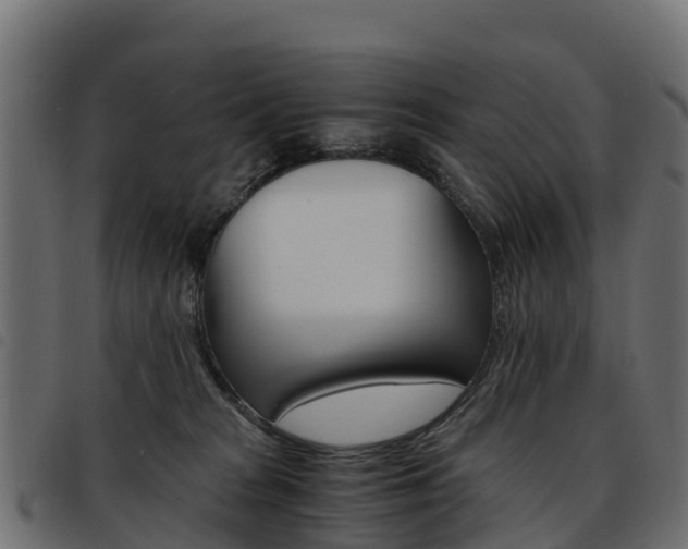 X0000093590277200710151023