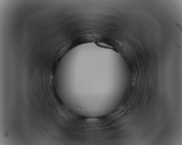X0000093590279200710151023