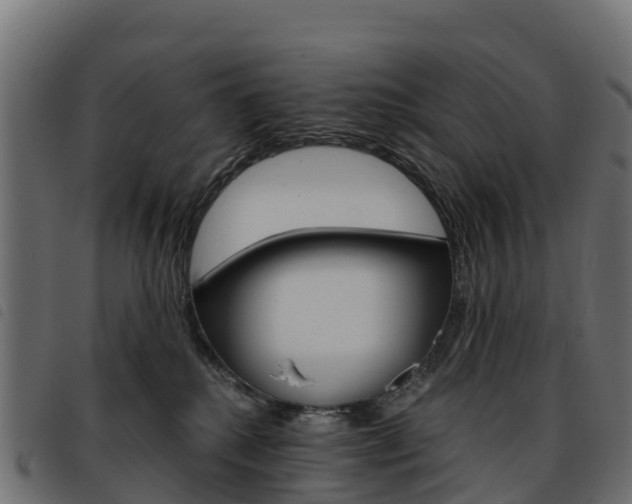 X0000093590280200710151023