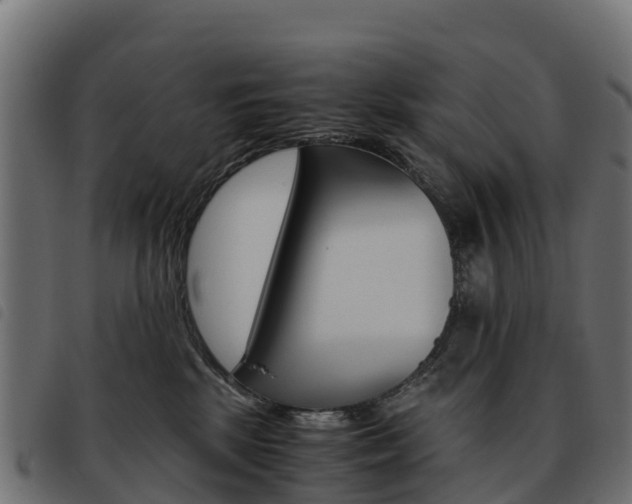 X0000093590281200710151023