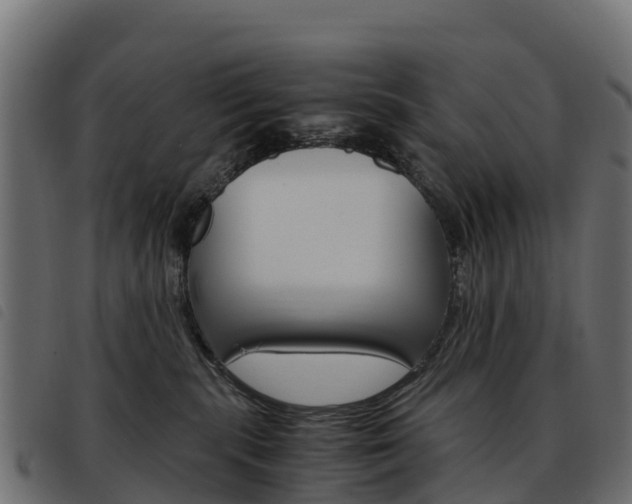 X0000093590283200710151023