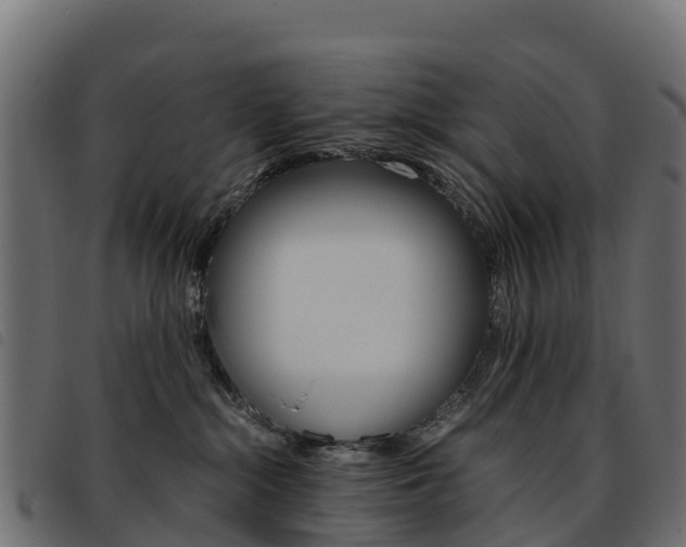 X0000093590284200710151023