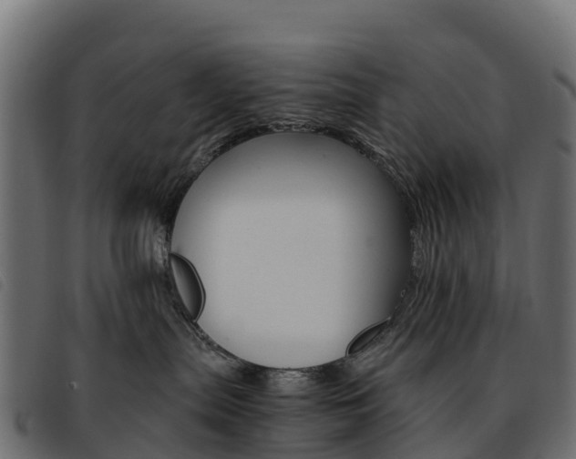 X0000093590287200710151023