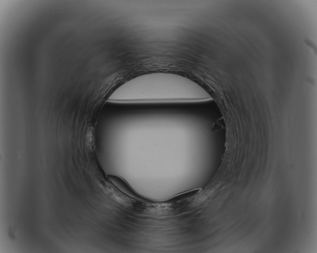 X0000093590288200710151023