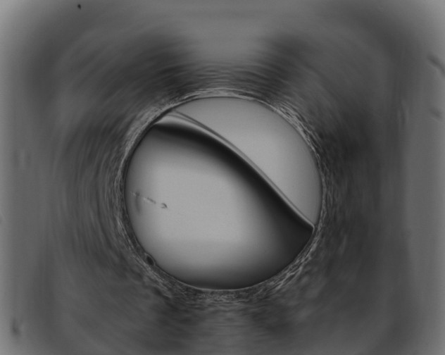 X0000093590289200710151023