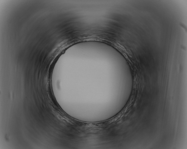 X0000093590290200710151023