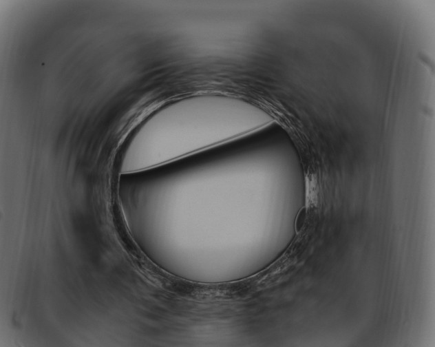 X0000093590291200710151023